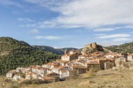 El agreste pueblo de Teruel que esconde un pino de 400 años y 28 metros