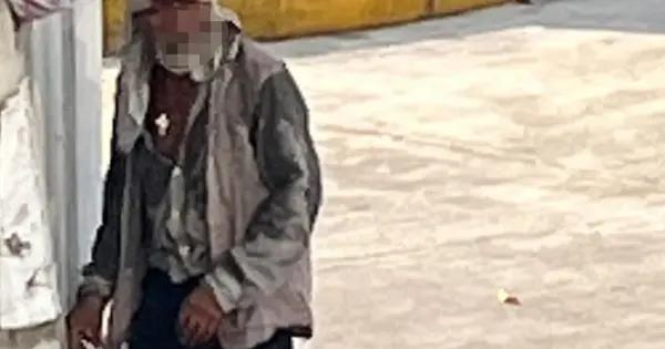 Investiga FGE muerte violenta de perros
