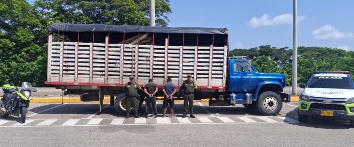 Incautan camión con madera de procedencia ilegal en vía de Bolívar