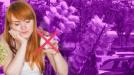 ¿Qué pasa si dejo de comer azúcar un mes? Tu cerebro lo agradecerá