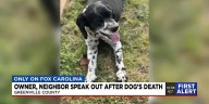 'Loey was loved'-Upstate neighbor defends owner of euthanized dog