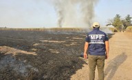 Una nueva quema de cañaverales consumió por completo un campo de 50 hectareas en Mancopa