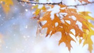 Farmer's Almanac predicts wet fall and winter for Pacific Northwest