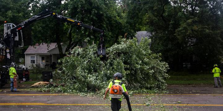 How many trees did Iowa lose from the 2020 derecho?
