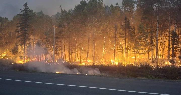 CP NewsAlert: Irishtown, N.B., wildfire is contained, evacuation advisory lifted