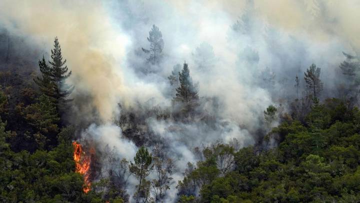 Asturias creará un fondo específico de prevención de incendios para los ayuntamientos en 2026