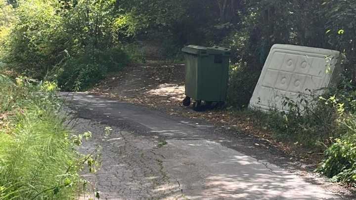 Denuncian el lamentable estado de la carretera de Cebia (Cangas de Onís)