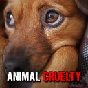 Paducah pair charged with leaving dog in hot car