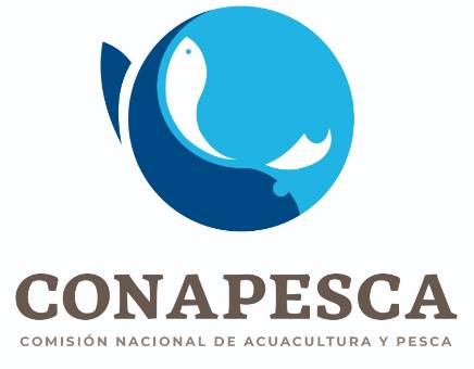 Federación canceló 23 programas para sector pesquero, denuncia líder