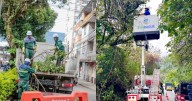 Alcaldía atiende de manera oportuna daños por lluvias en sistema de alumbrado público