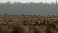 Knowing fire dangers as Warren County issues burn ban amidst dry conditions