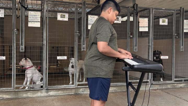 How to perform for adoptable pets at the Mission Viejo animal shelter