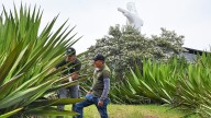 La pesadilla de ser minero en los Farallones: la historia de cómo personas que explotaban oro, ahora cuidan la naturaleza
