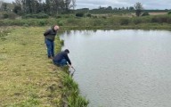 Colonia Liebig se consolida en la siembra de pacú