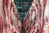 Activan mecanismo laboral contra Alimentos Grole