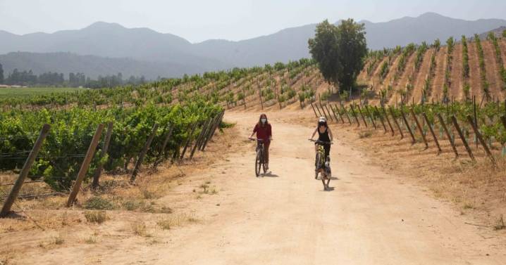 Viña Villard: vinos de autor en el Valle de Casablanca