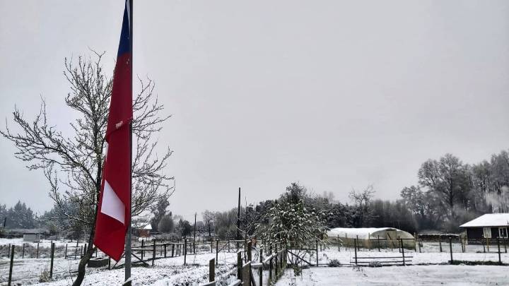 Emiten aviso por probables nevadas entre las regiones de Coquimbo y Biobío: ¿Cuándo será?