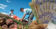 MIDAGRI ofrece importante beneficio para trabajadores | Cómo acceder, monto y fecha de pago