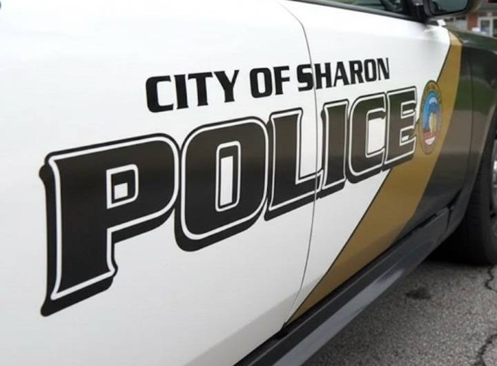 Farrell woman accused of intentionally striking car with child in her vehicle