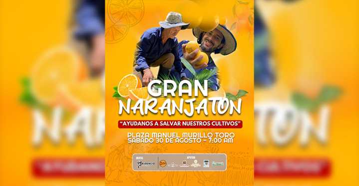 Ejército y ADR impulsan la “Naranjatón” para apoyar a campesinos productores de naranja en Tolima