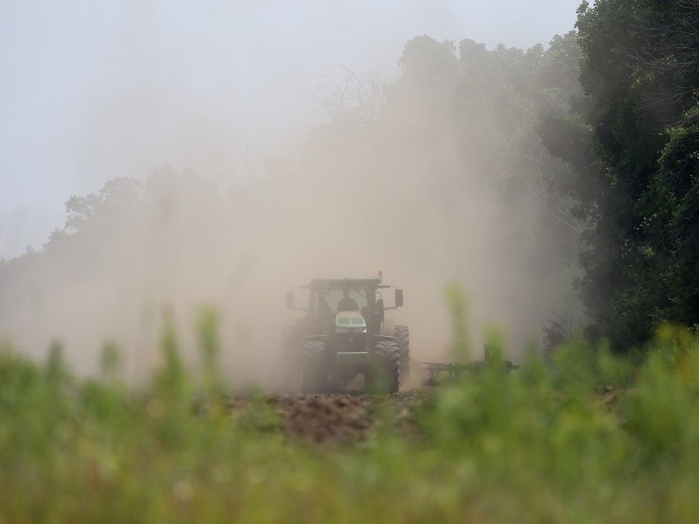 Farmgate: Consider conserving water during these dry days