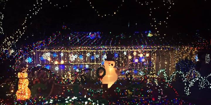 Wagon company won’t return to Winterhaven this year
