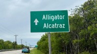 'Alligator Alcatraz' constriction halted by district judge, here's why