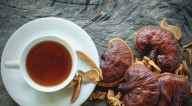 Qué es el hongo Reishi y su uso tradicional