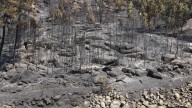 Las autoridades portuguesas confirman que gran parte del perímetro del incendio forestal de Vinhais está bajo contro