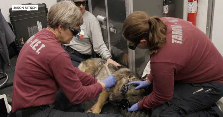 Texas A&M Veterinary Emergency Team reflects on 23-day deployment in Hill Country for flood recovery efforts