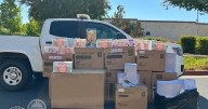 $30,000 worth of stolen Labubu dolls recovered by police