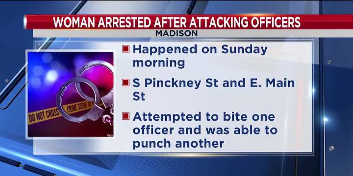 Madison Police respond to early morning disturbance near Capitol Square