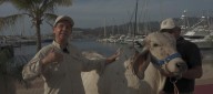 Con gira nacional y subasta frente al mar, Fedegán celebrará 500 años de la ganadería