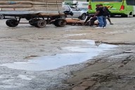Denuncian caso de maltrato animal en Santa Marta