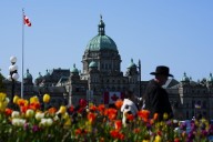 B.C. legislator shocked by American senator's 'nonsense' pitch to join U.S.