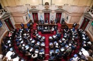 El Senado aprobó la emergencia pediátrica en el Garrahan y la ley de financiamiento universitario