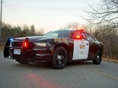 OPP briefs