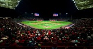 Un pelotazo dejó a un niño lesionado en el Estadio Alfredo Harp Helú