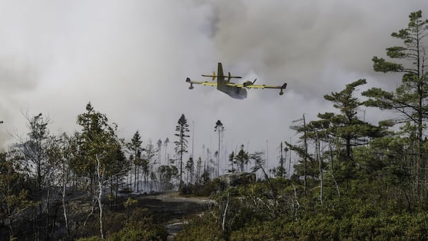 Halifax wildfire was human caused, N.S. government confirms