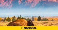 La IA cada vez consume más energía: pronto superará lo que gasta todo un estado de Estados Unidos