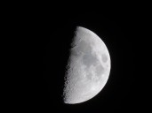 La luna: inspiradora compañera de poetas, enamorados, científicos, y simples terrícolas