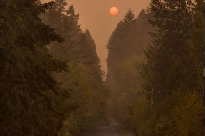 VashonBePrepared: Tsunamis and wildfires — prepare and survive the elements