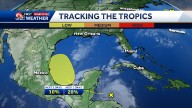 Tropical Depression possible in the Gulf. Where it could track...