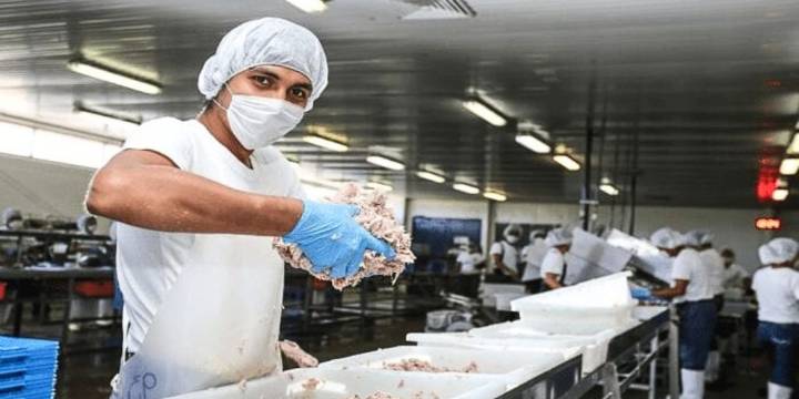 PBI de Perú crece a 3,75% a la primera mitad del 2025: Las razones detrás de los resultados de cada sector