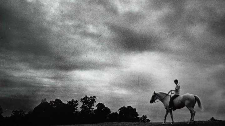 See animals through the years from the Delaware News Journal archives