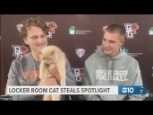 Locker room cat steals spotlight