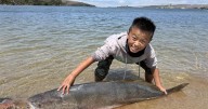 Whale of a catch: Potential record-setting 64-pound white sea bass hooked by 13