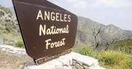 Woman's body found dumped in SoCal forest. Her husband fled the country with their kids, authorities say