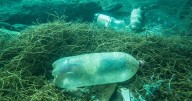 Delegaciones de 170 países se reúnen en Ginebra para tratar la contaminación por plásticos