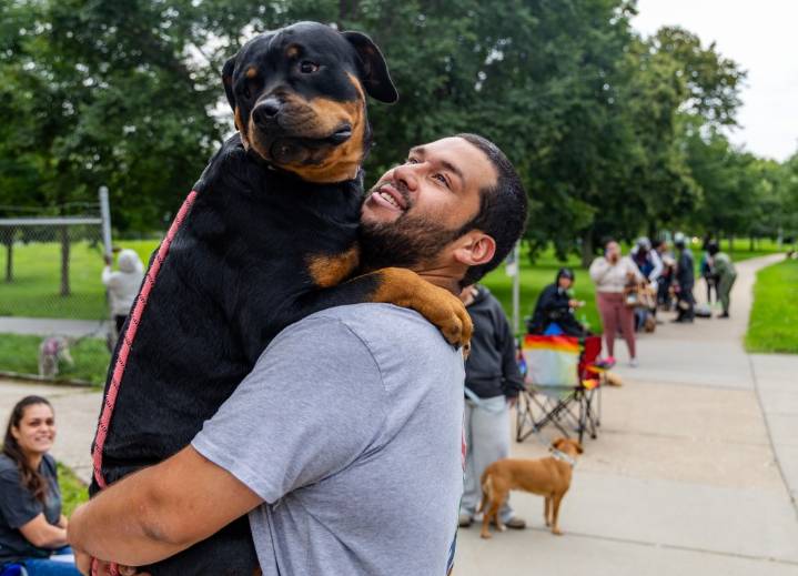 Free dog vaccinations, microchips draws pet owners across Chicago